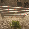 /msite/products/detail/productid/62903887/id/1514267.html